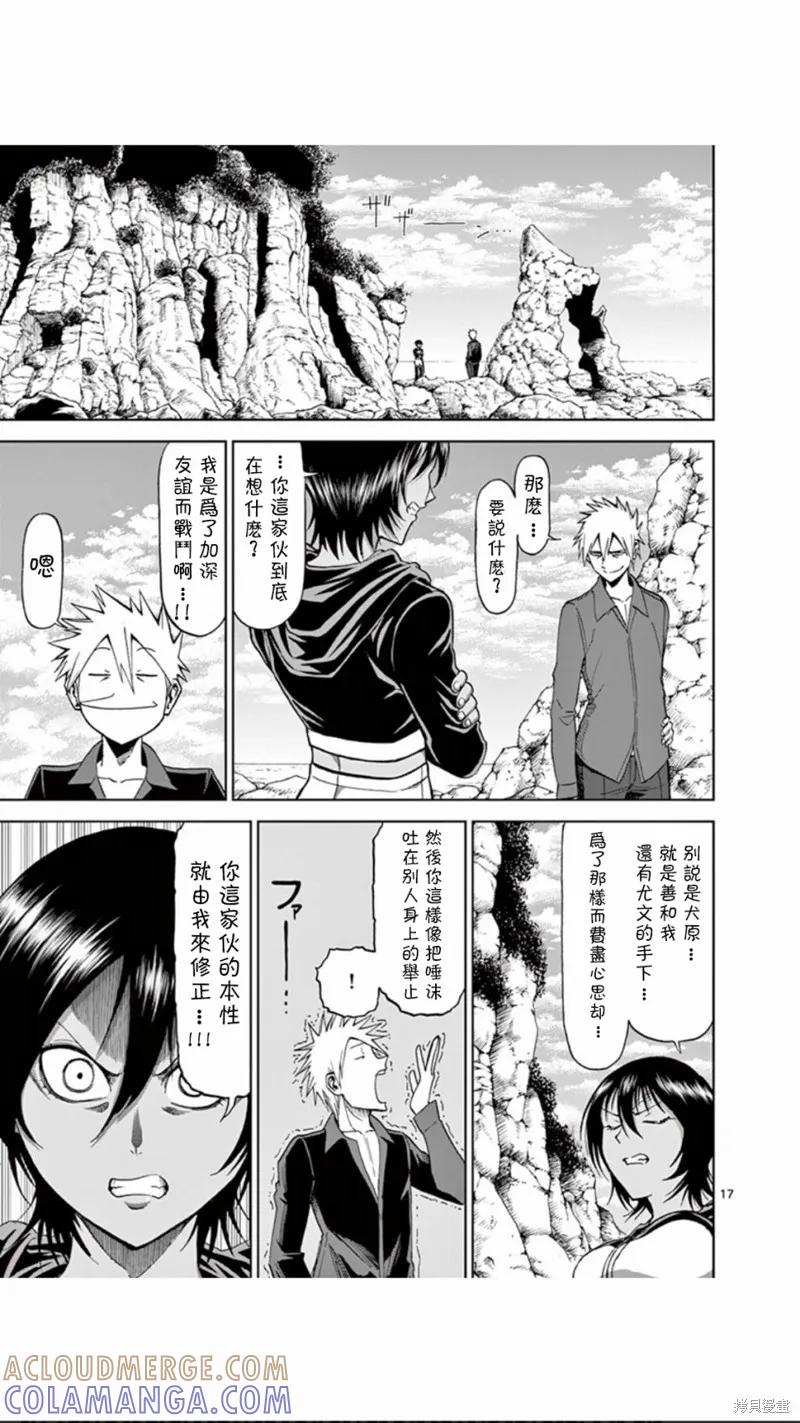 第17页