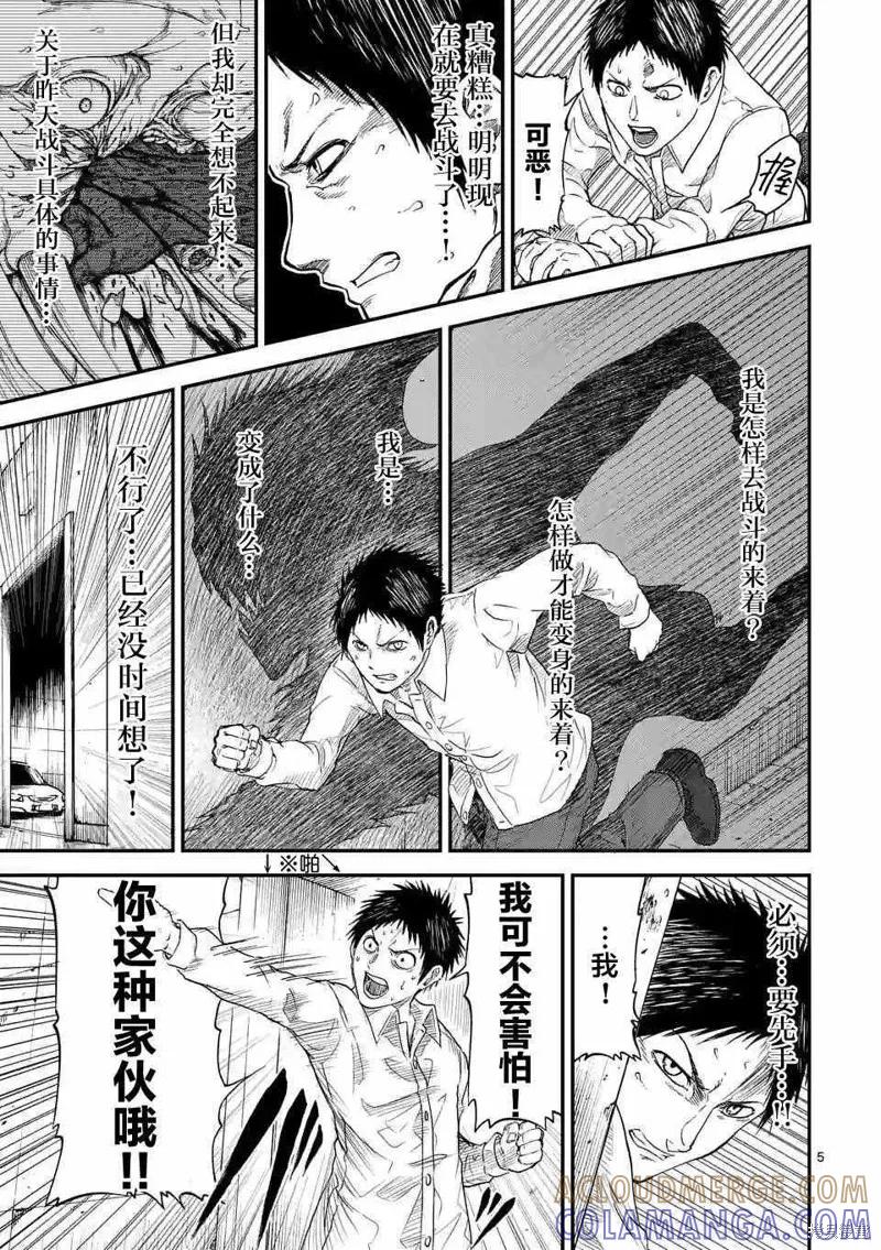 第5页