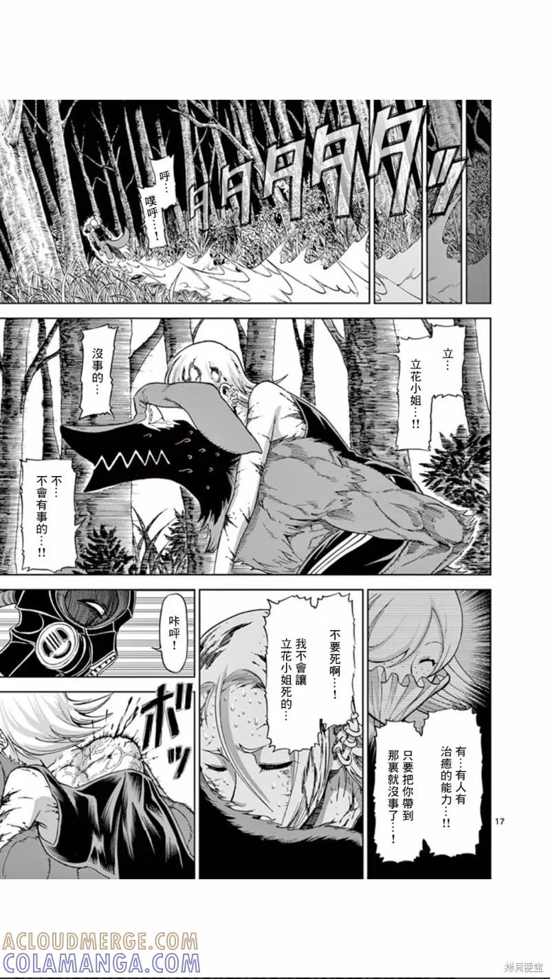 第17页