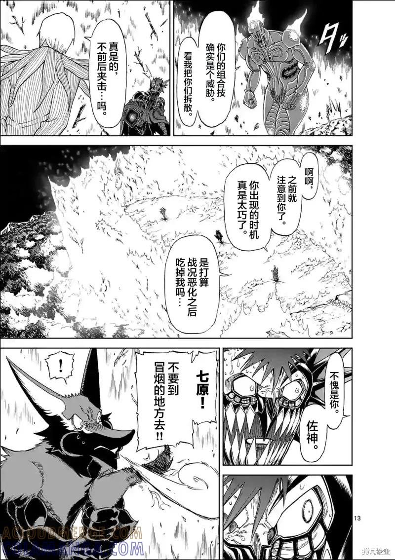 第13页