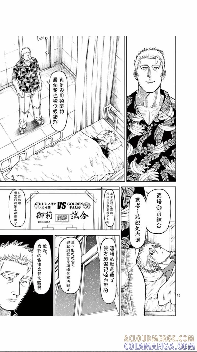 第15页