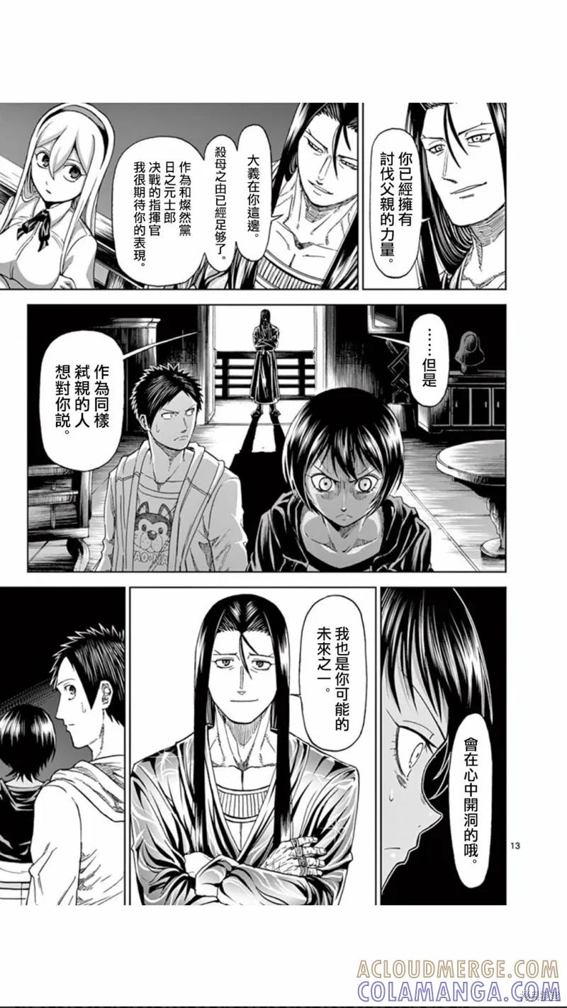第13页