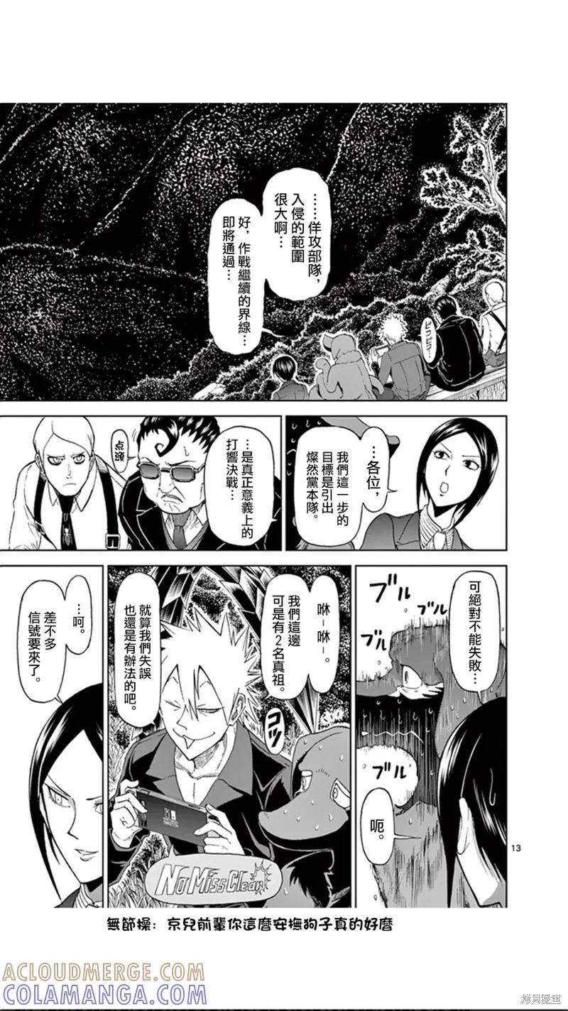 第13页