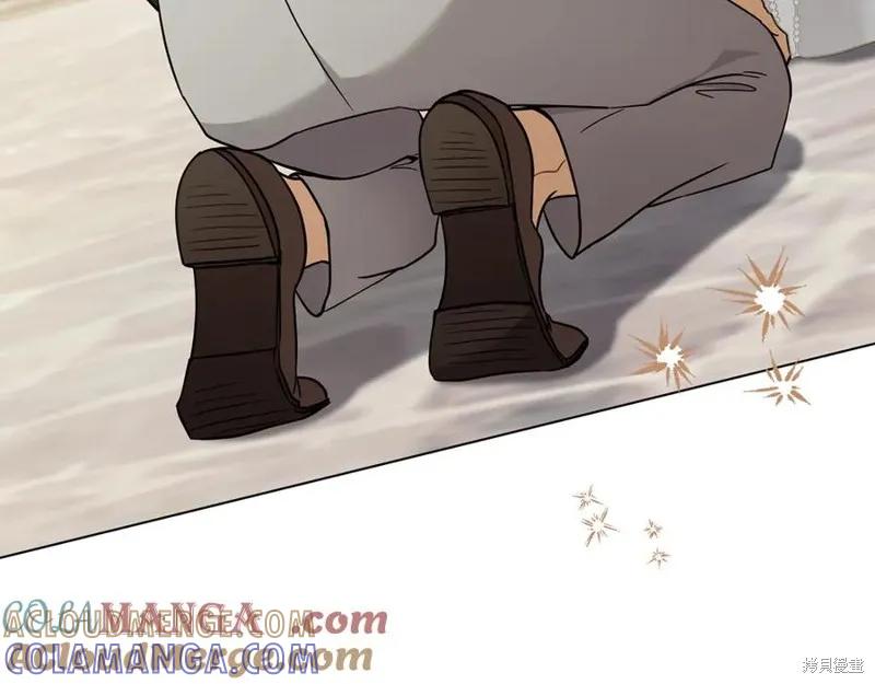 第205页