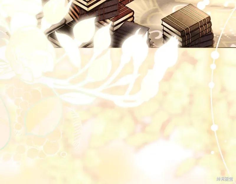 第204页