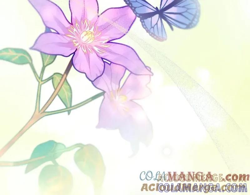 第205页