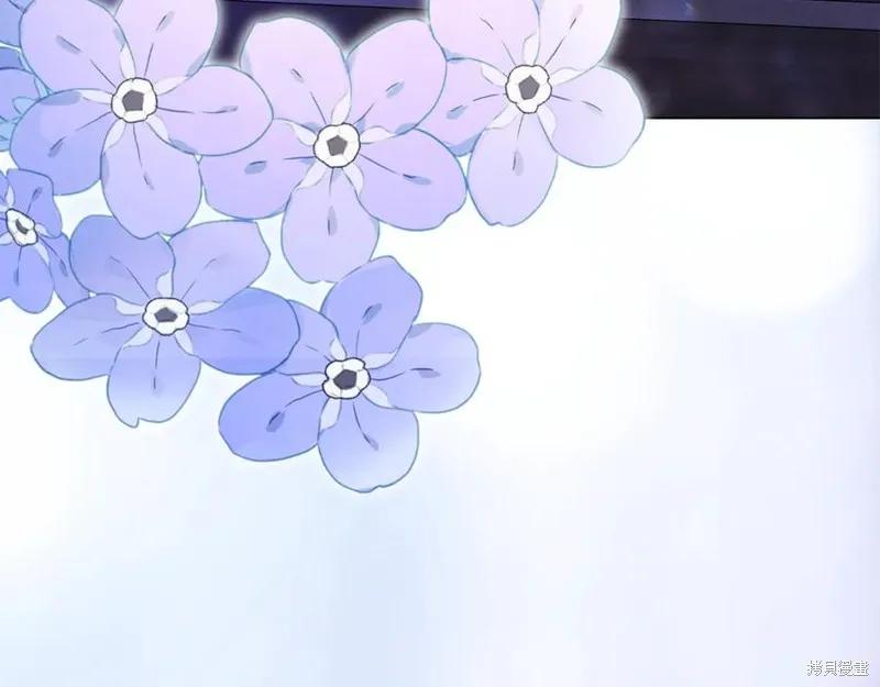第215页