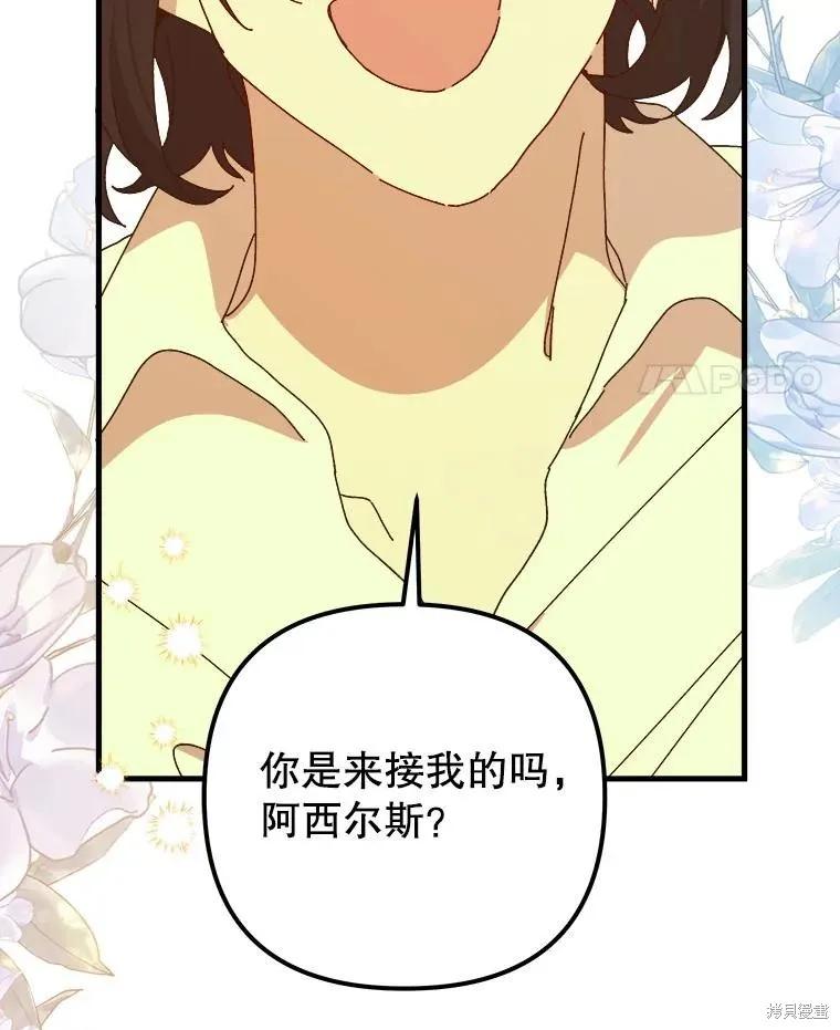 第231页