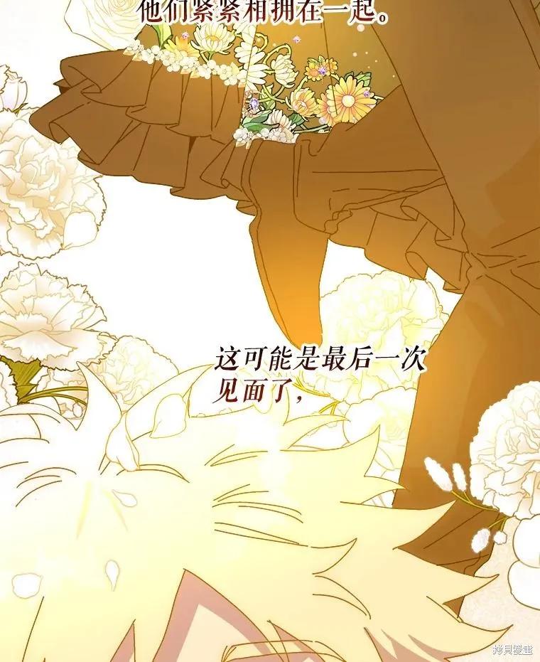 第251页