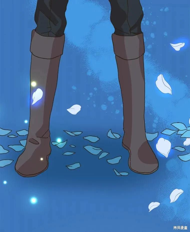 第254页