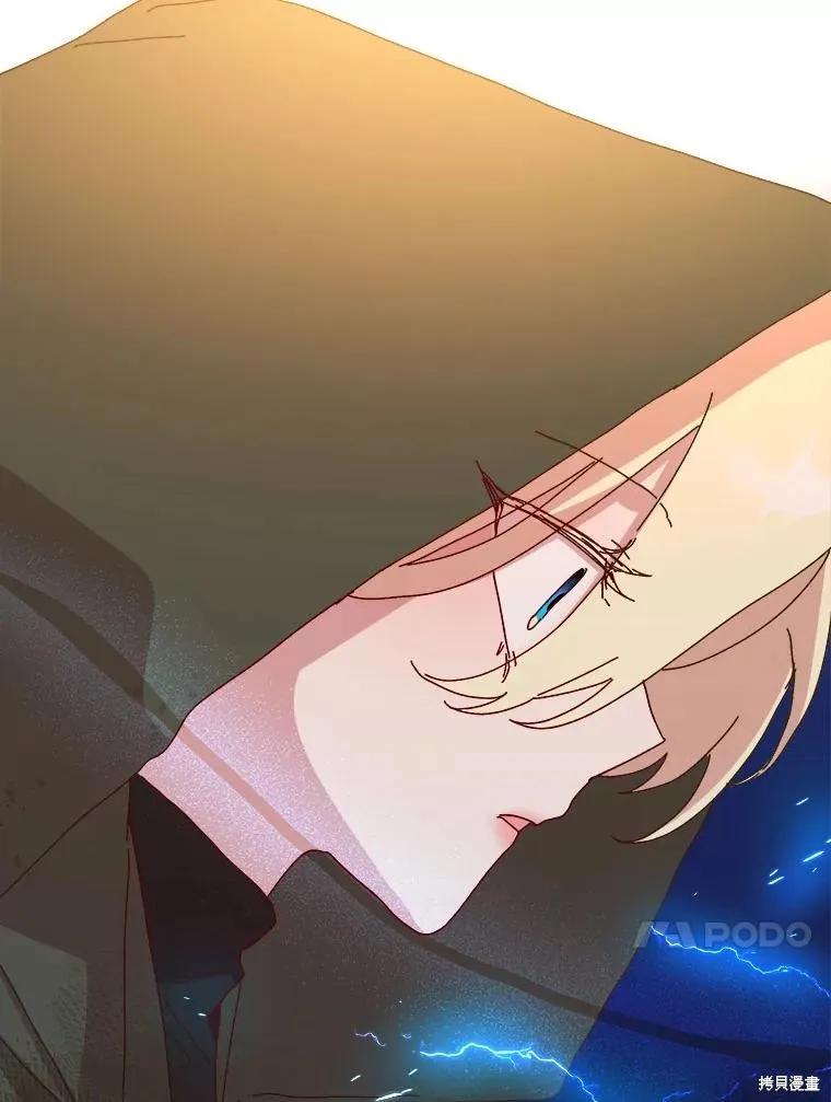 第238页
