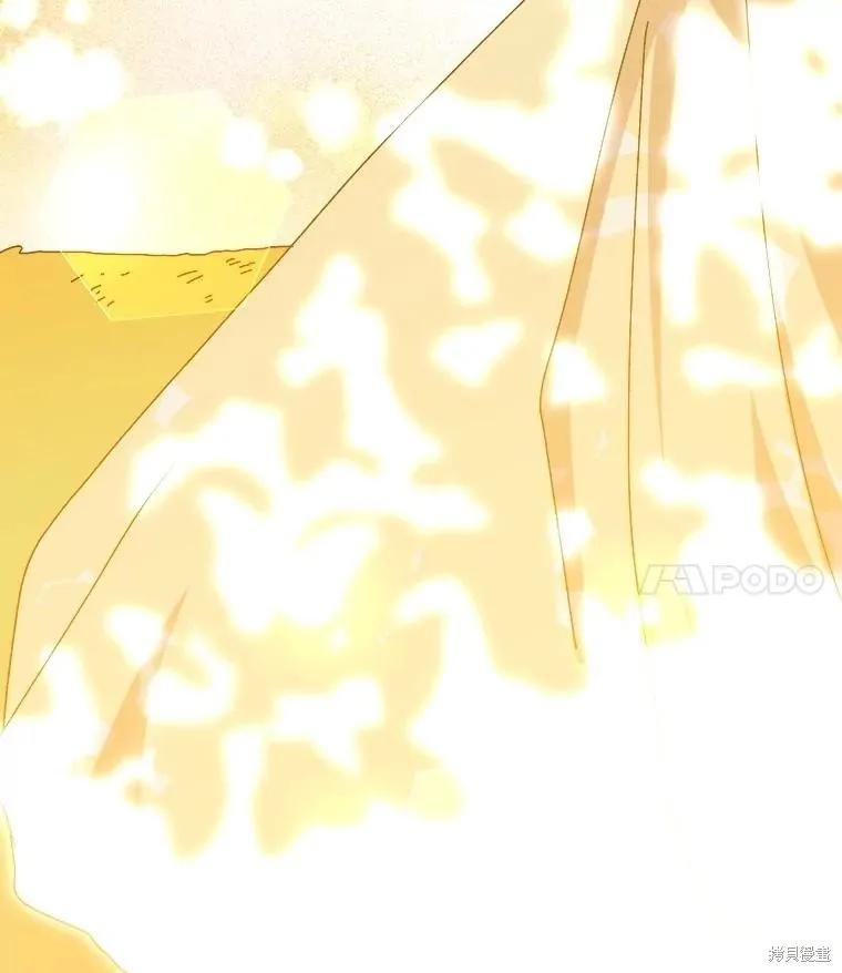 第294页