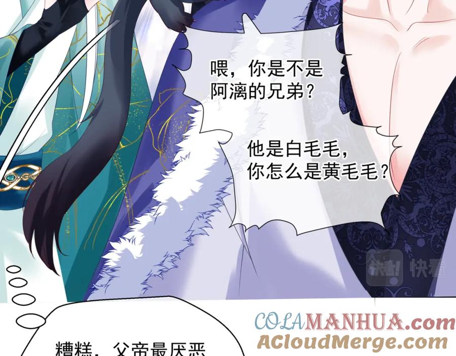 第221页