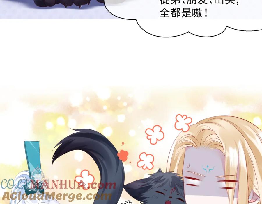 第237页