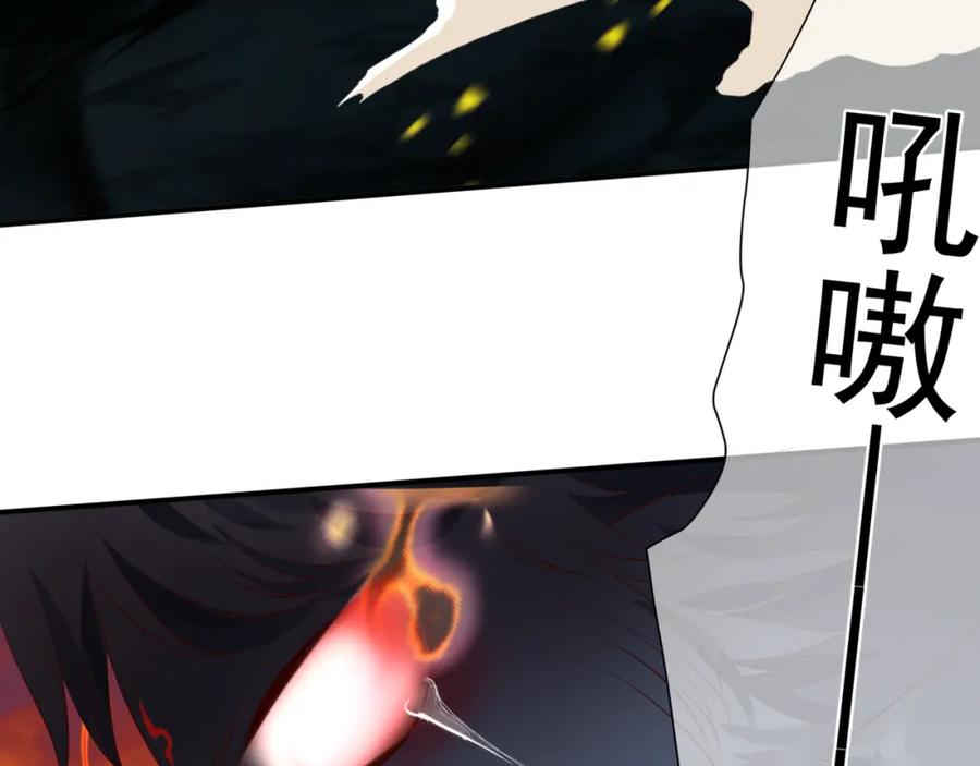第214页
