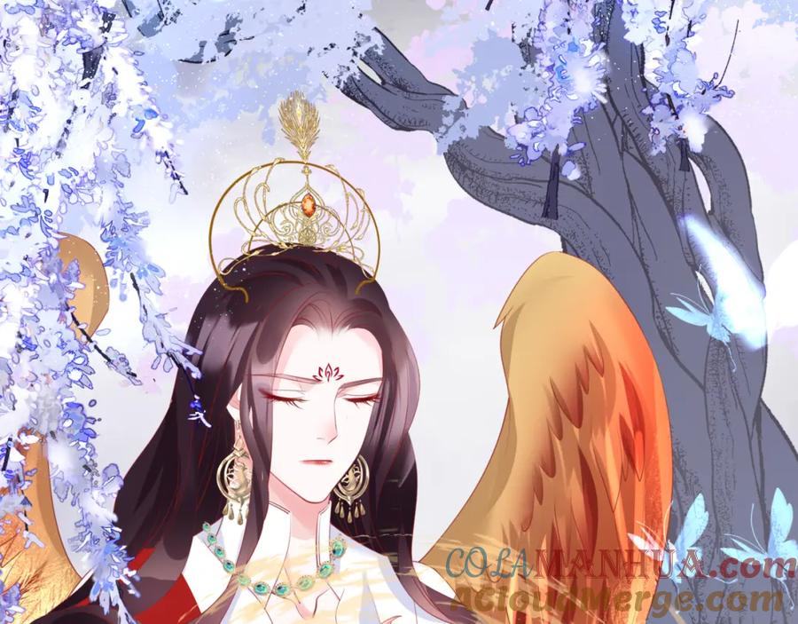 第205页