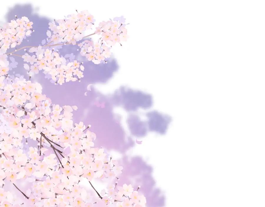 第207页