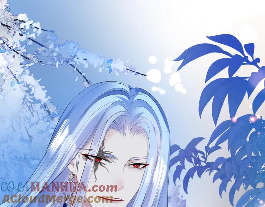 第205页