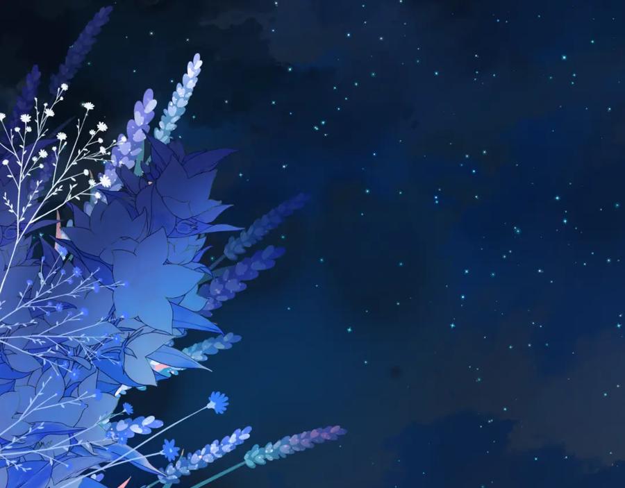 第219页