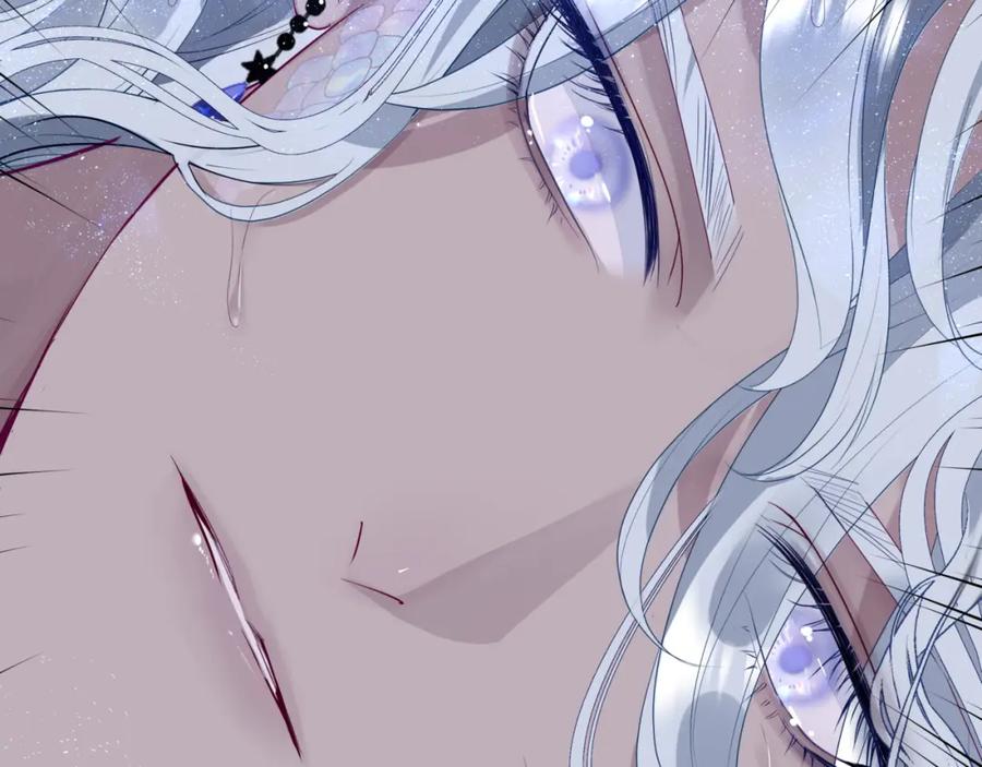 第215页