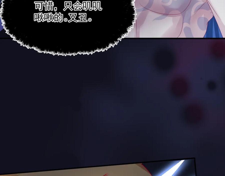 第206页
