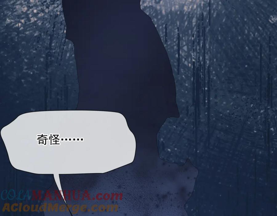 第205页