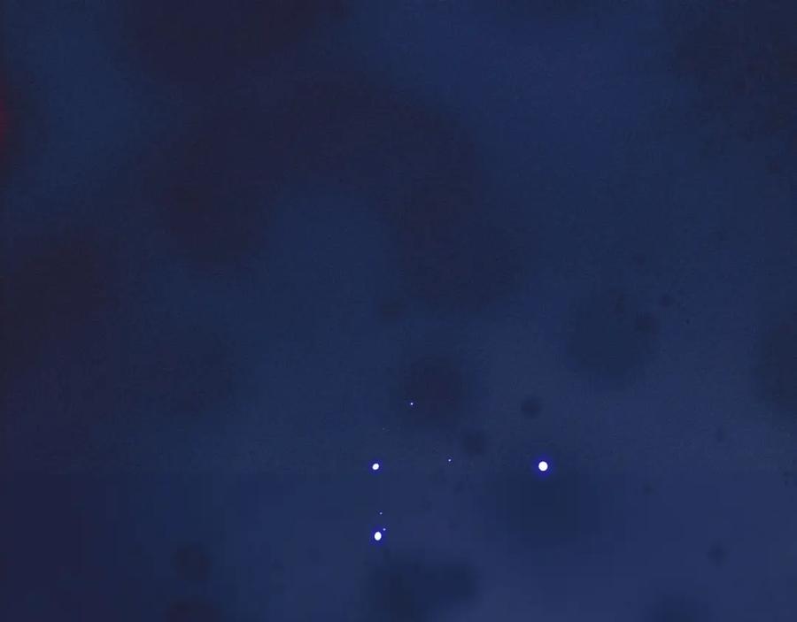 第222页