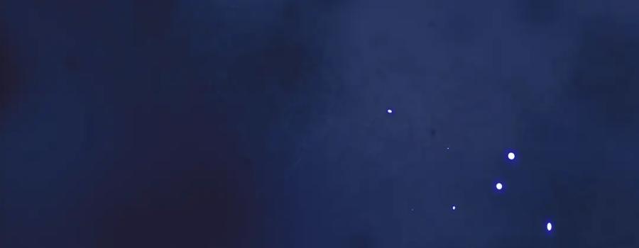 第223页