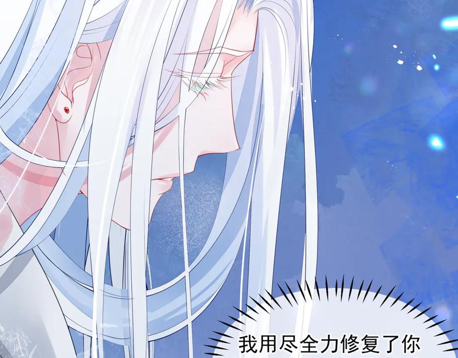 第251页