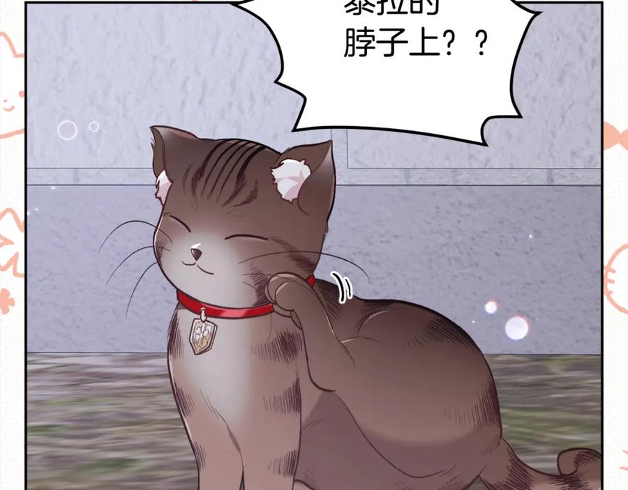 第211页