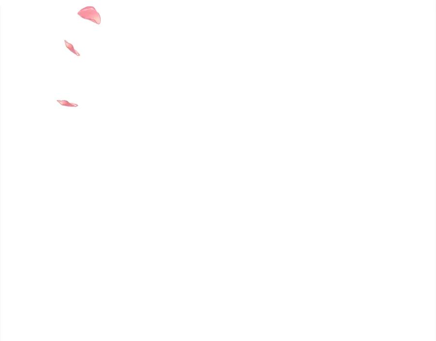 第216页
