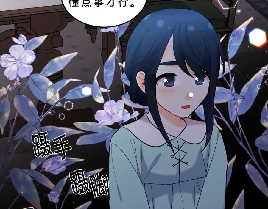 第204页