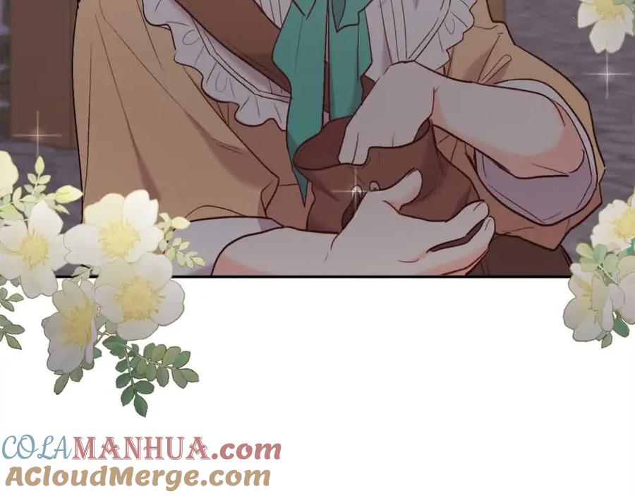 第205页