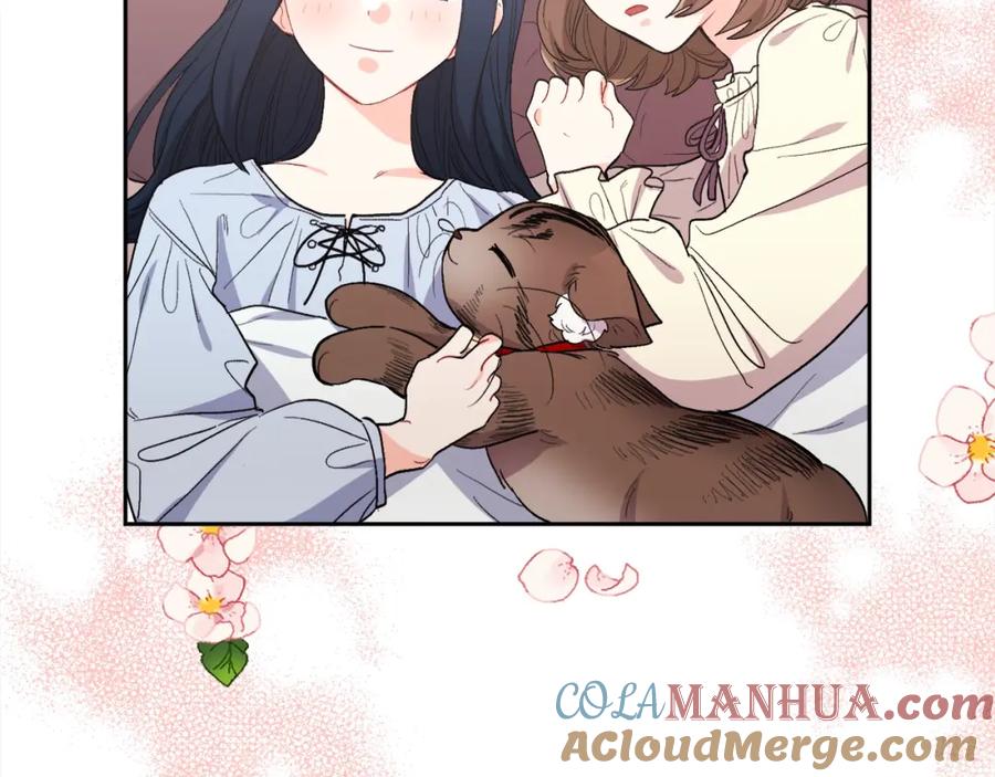 第185页