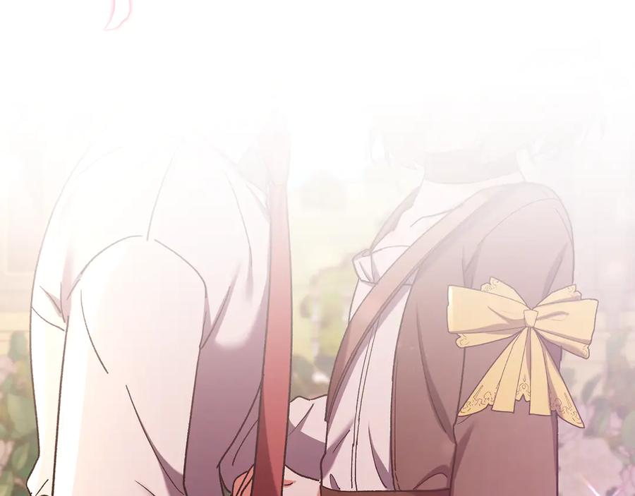 第223页