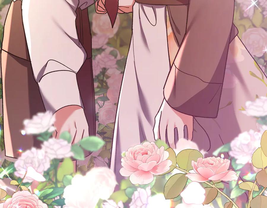 第224页