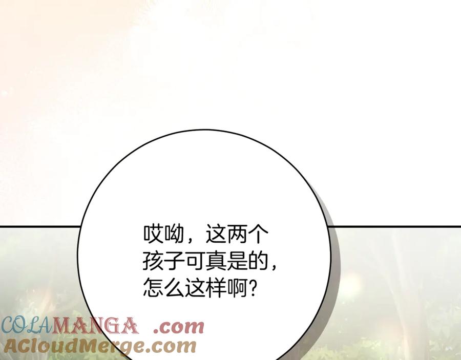 第205页