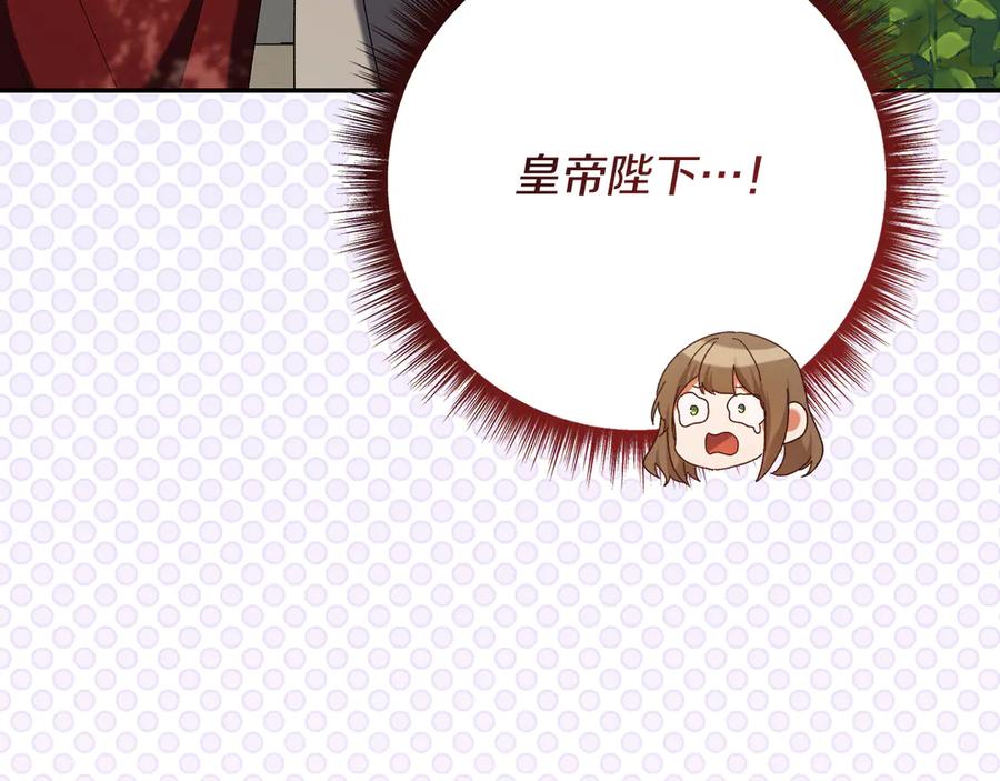 第214页