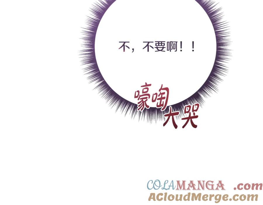 第217页