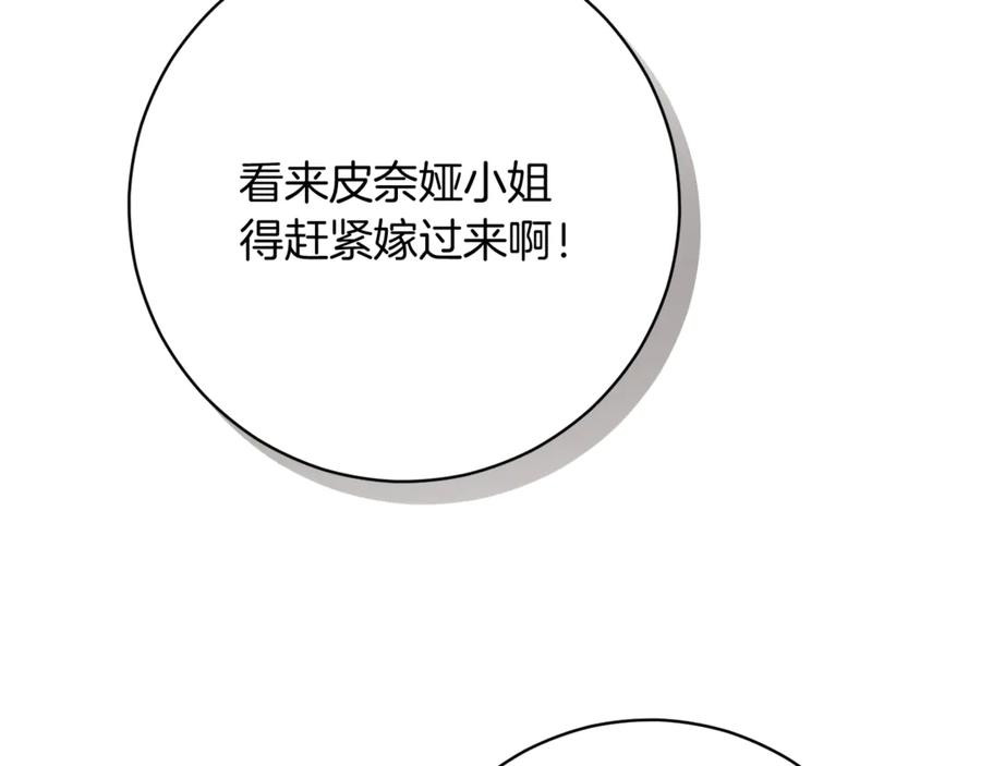 第223页