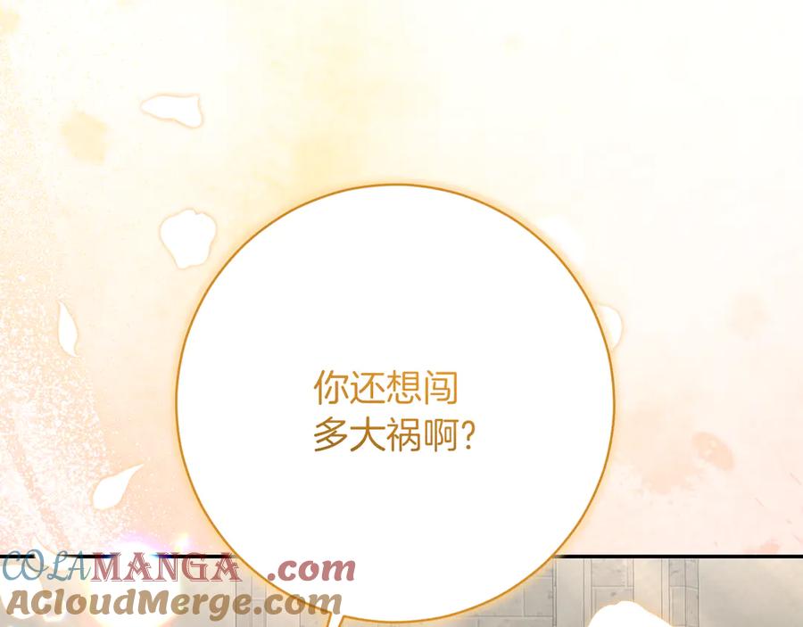 第205页