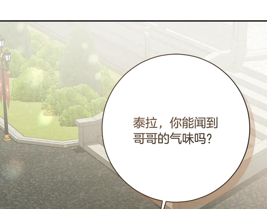 第202页