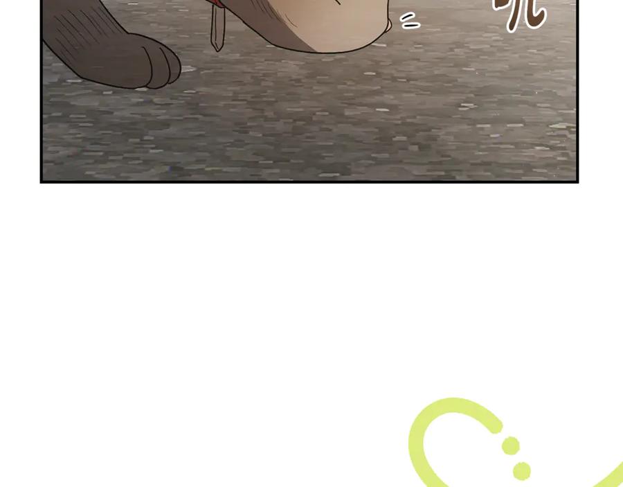 第206页