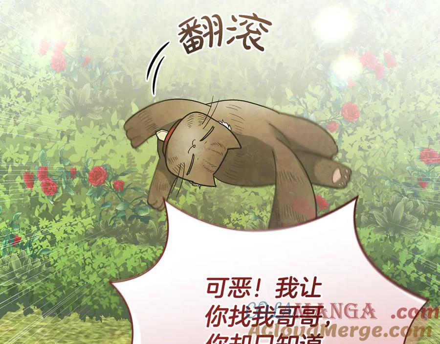 第217页