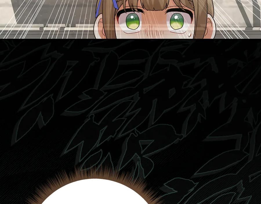 第223页