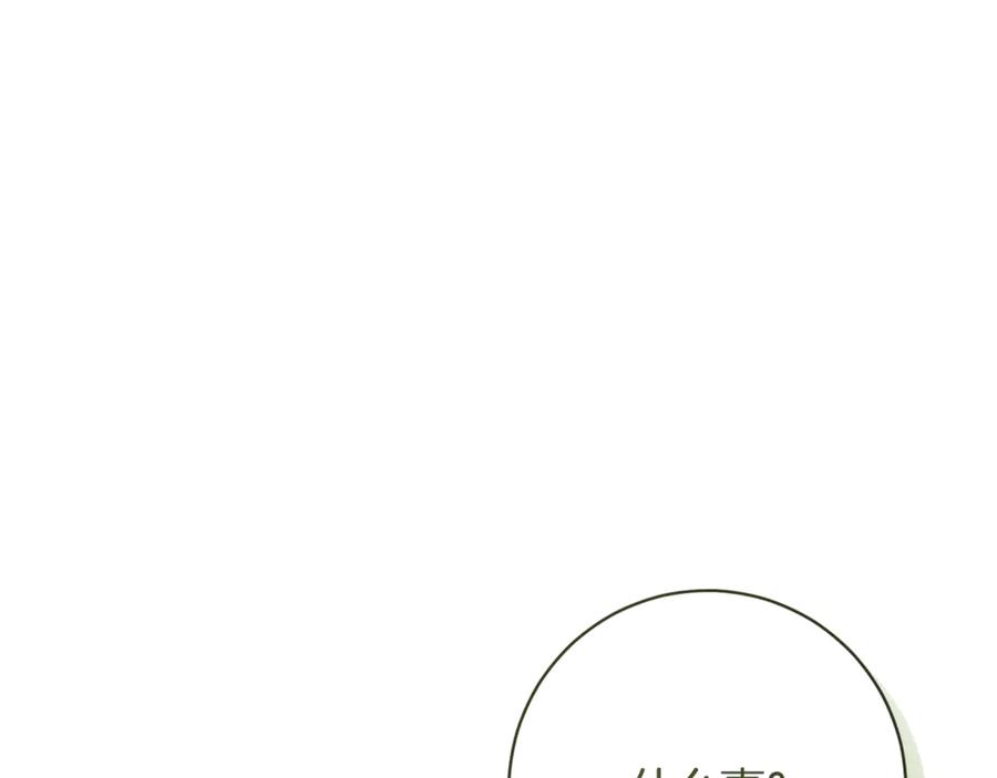 第238页