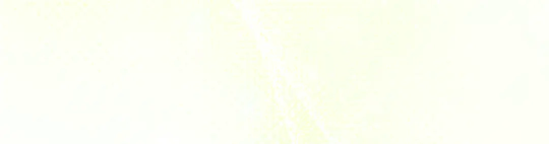 第243页