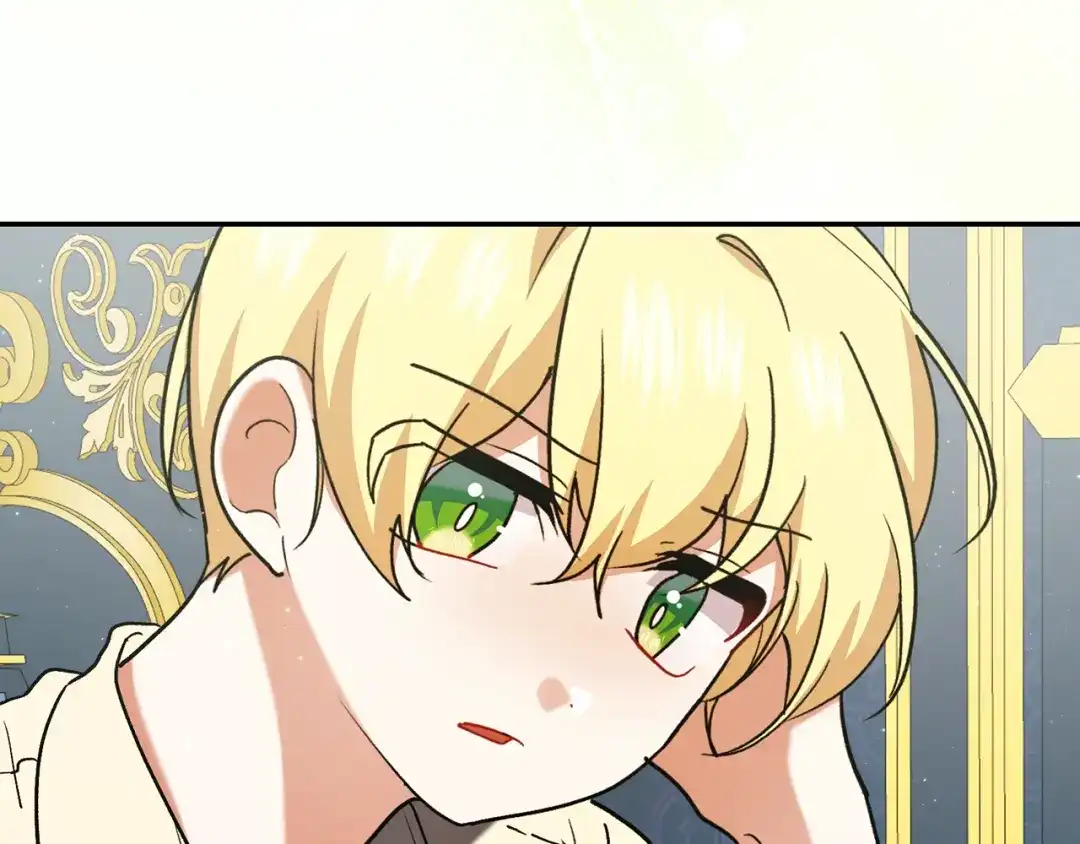 第244页