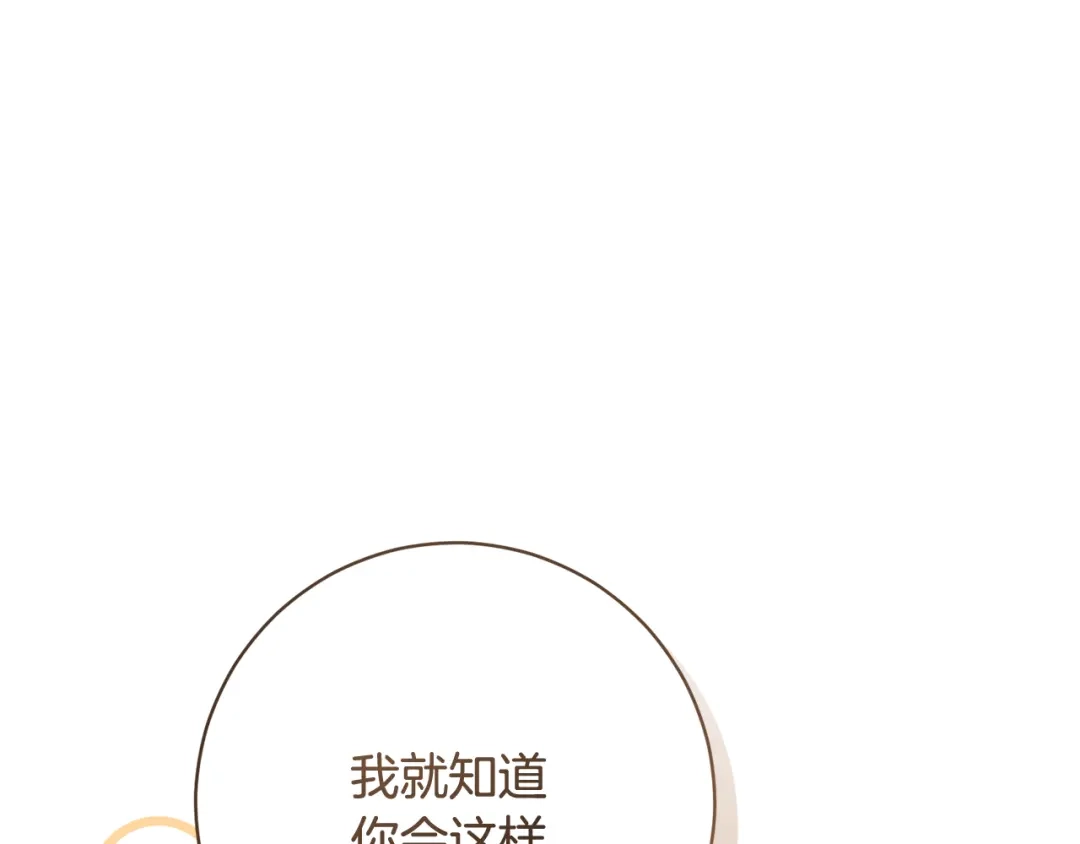 第248页