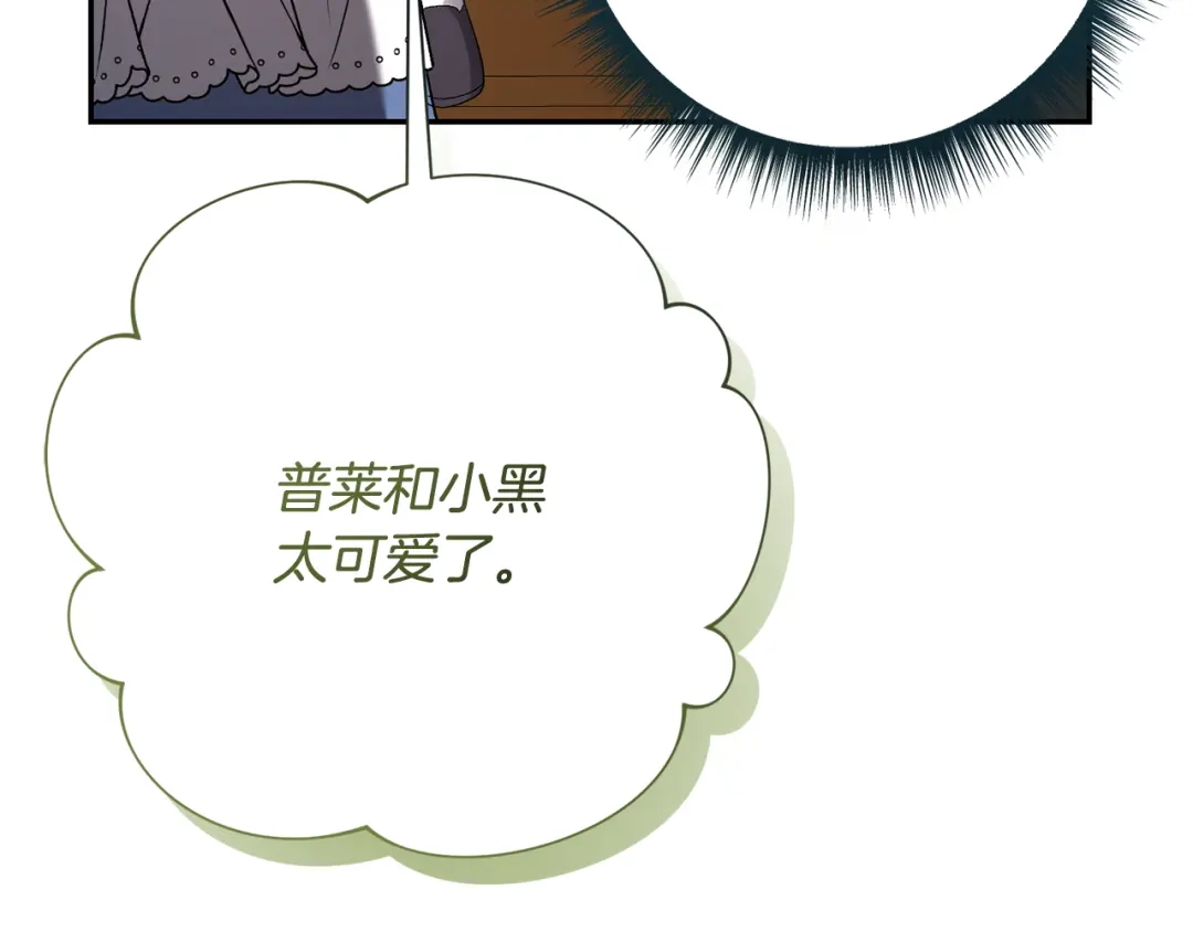 第205页
